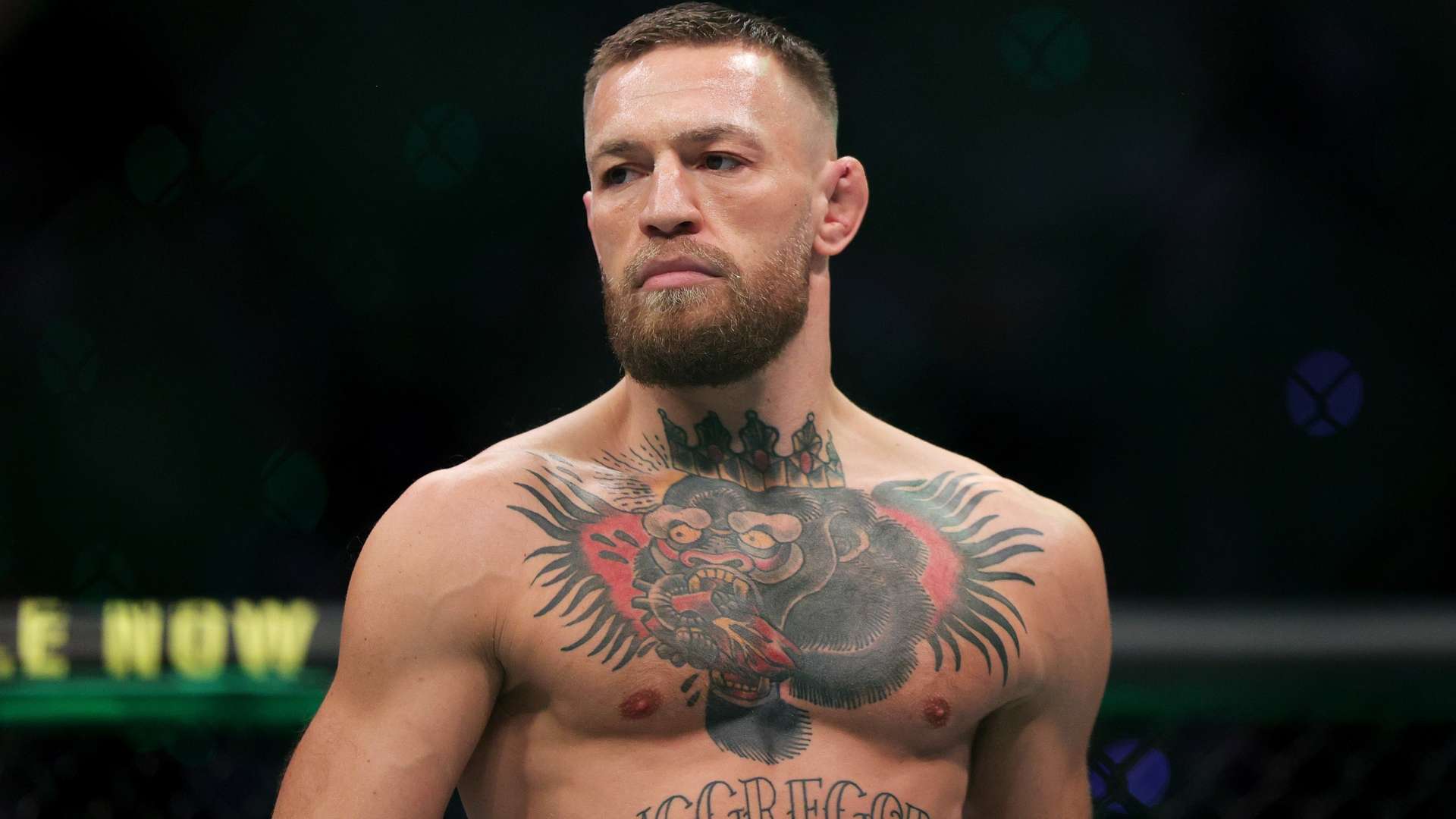 仅反映了对 仅反映了对